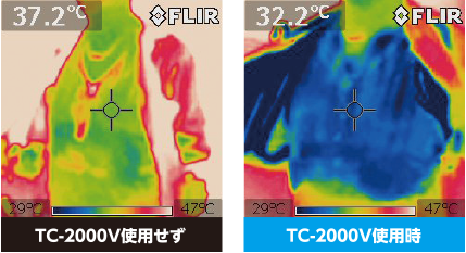 体表面温度の比較